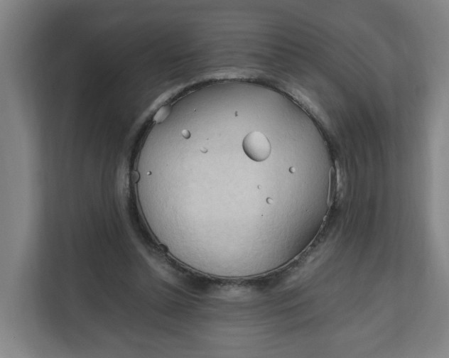 X0000111950348200908101227