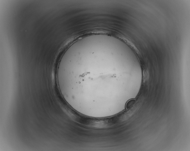 X0000111950349200908101227