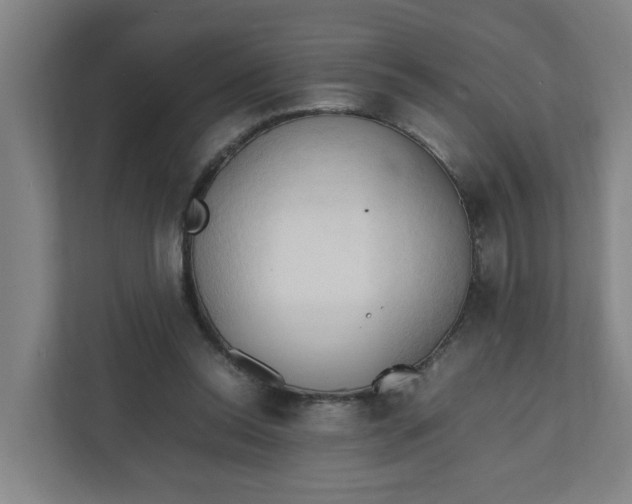 X0000111950350200908101227