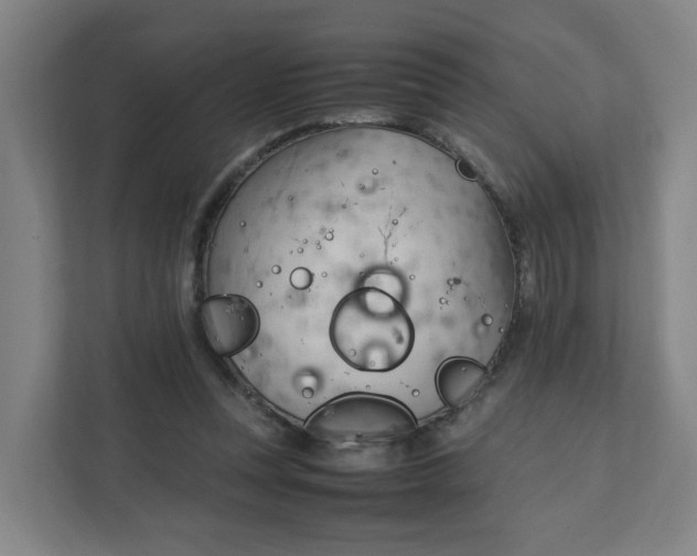 X0000111950351200908101227