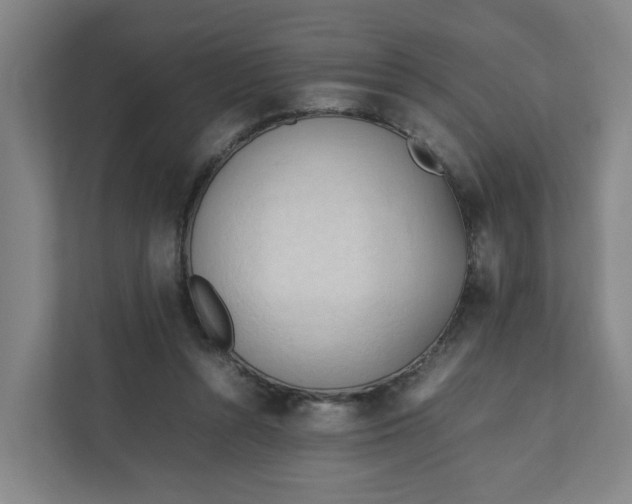 X0000111950352200908101227