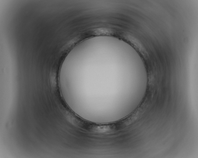 X0000111950353200908101227