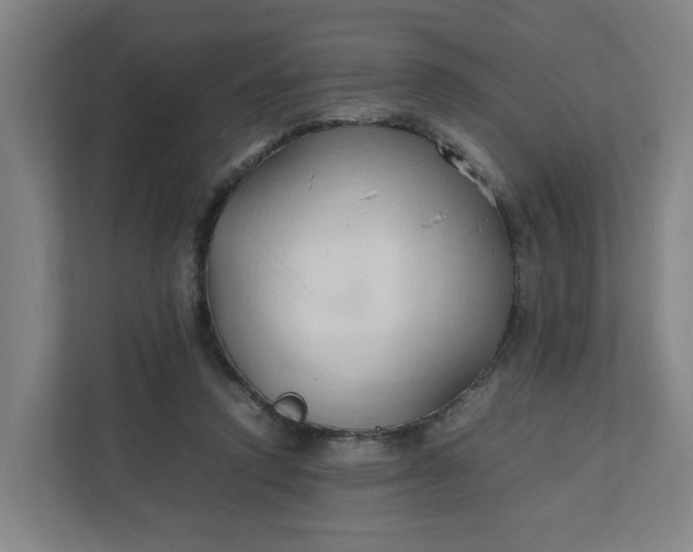 X0000111950354200908101227