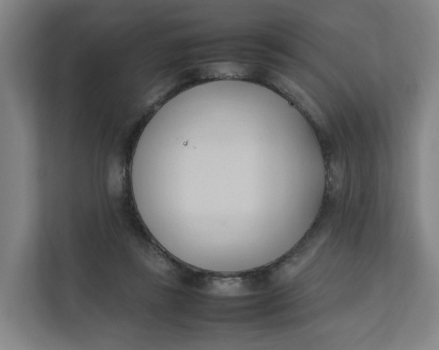 X0000111950355200908101227