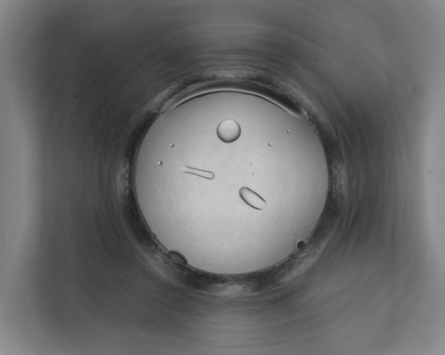 X0000111950356200908101227