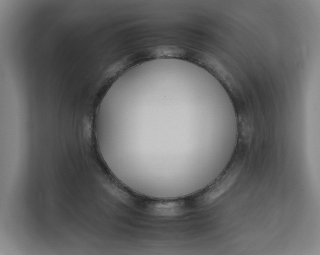 X0000111950357200908101227