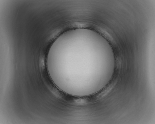 X0000111950358200908101227