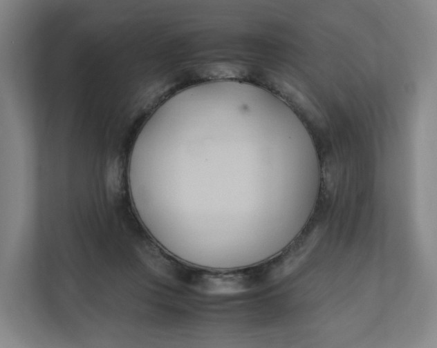 X0000111950359200908101227