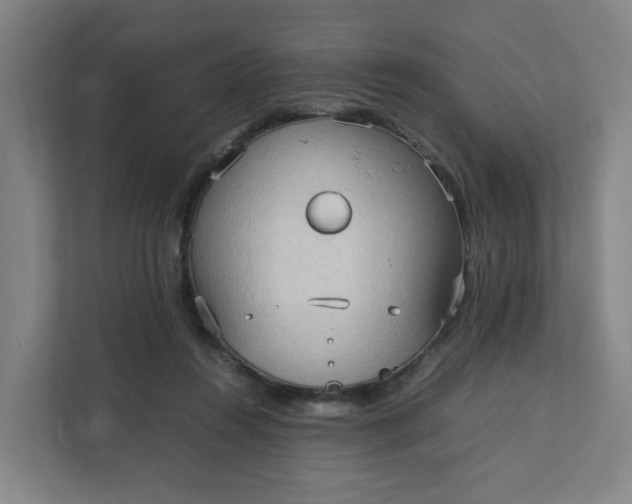 X0000111950360200908101227