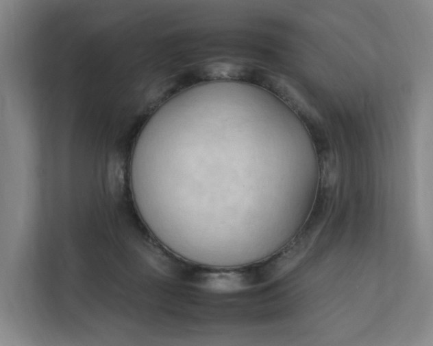 X0000111950363200908101227