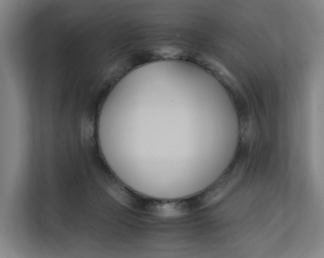 X0000111950365200908101227