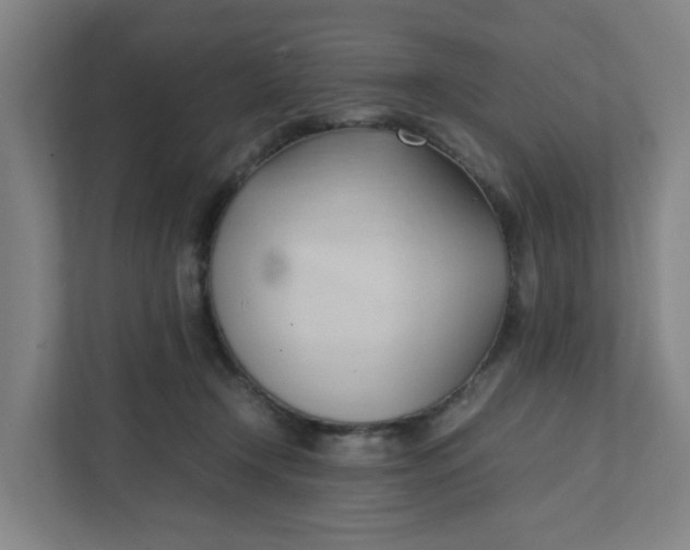 X0000111950366200908101227