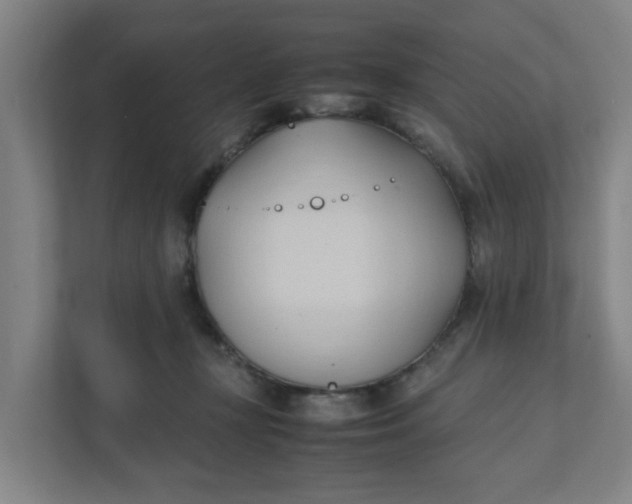 X0000111950367200908101227