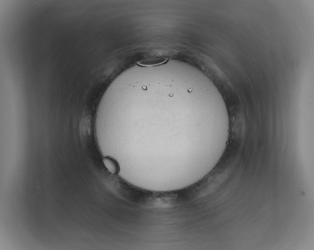 X0000111950368200908101227