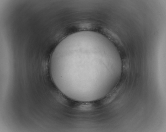 X0000111950369200908101227