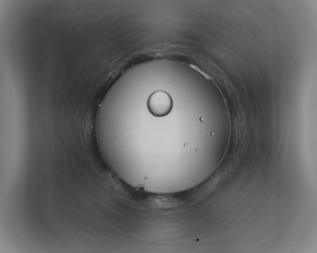 X0000111950372200908101227