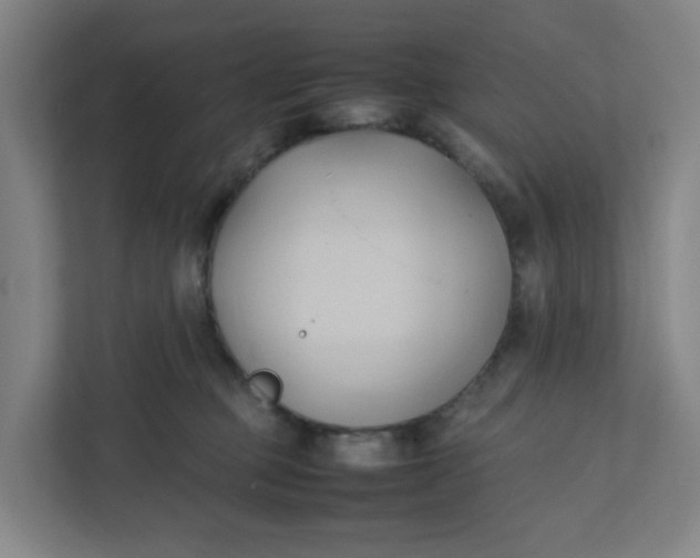 X0000111950373200908101227