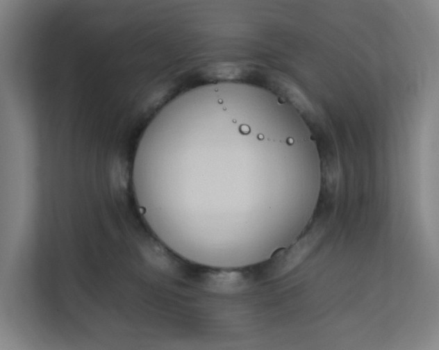 X0000111950374200908101227