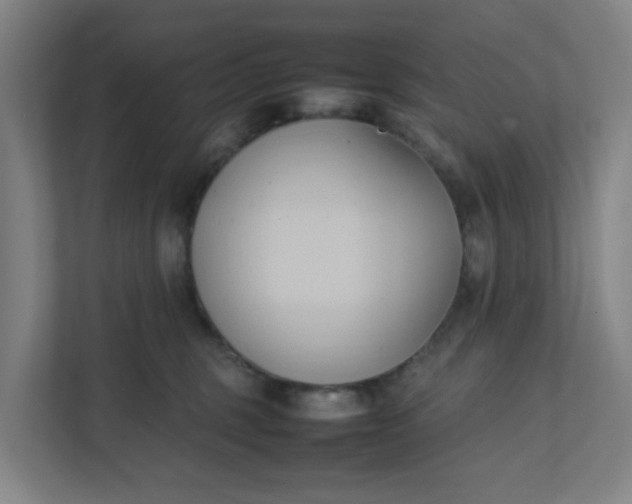 X0000111950375200908101227