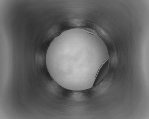 X0000111950376200908101227