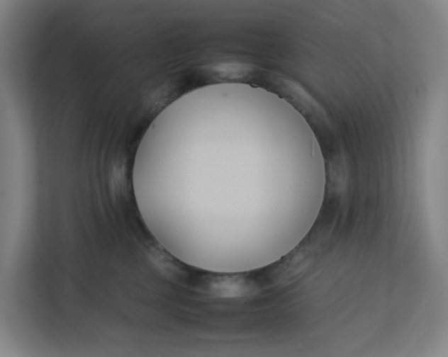 X0000111950377200908101227