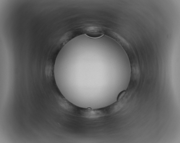 X0000111950379200908101227