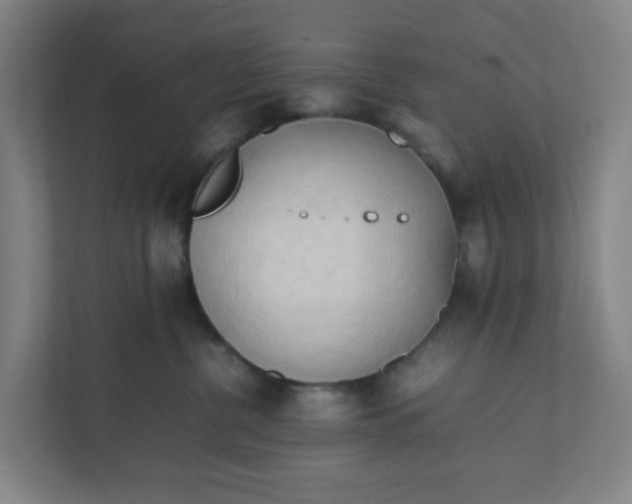 X0000111950380200908101227