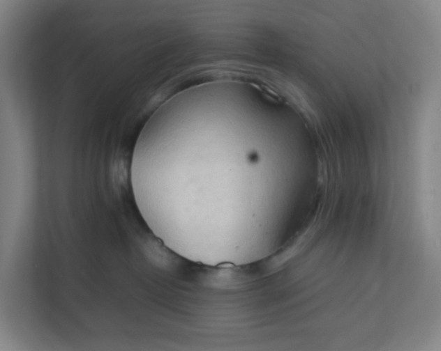 X0000111950382200908101227