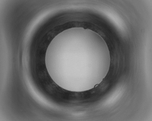 X0000111950383200908101227