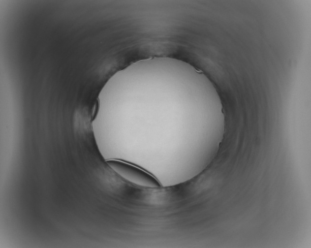 X0000111950384200908101227