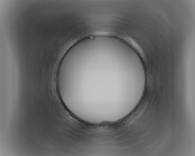 X0000111950385200908101226