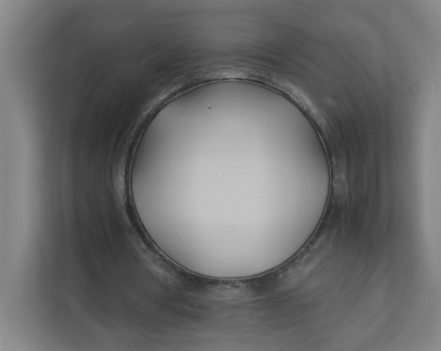 X0000111950386200908101226