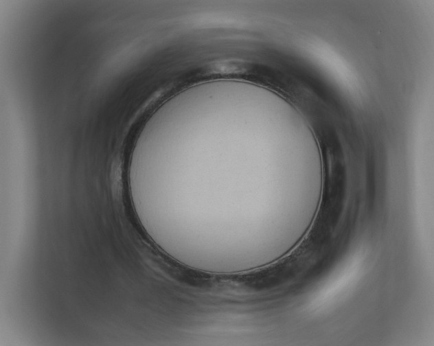 X0000111950387200908101226