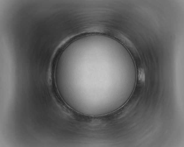 X0000111950388200908101226