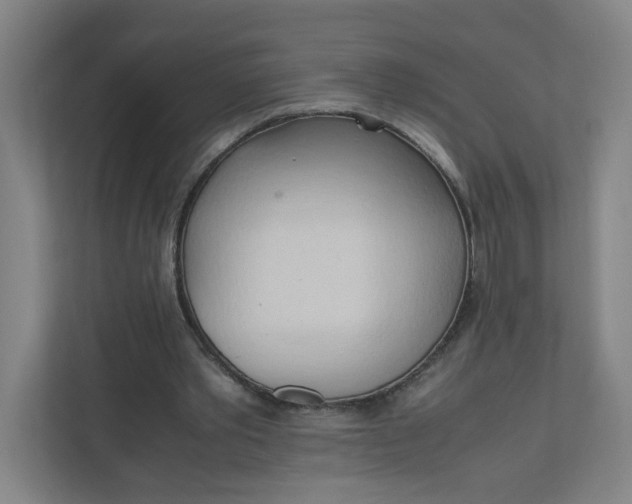 X0000111950389200908101226