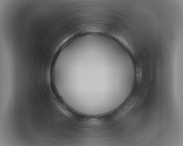 X0000111950390200908101226