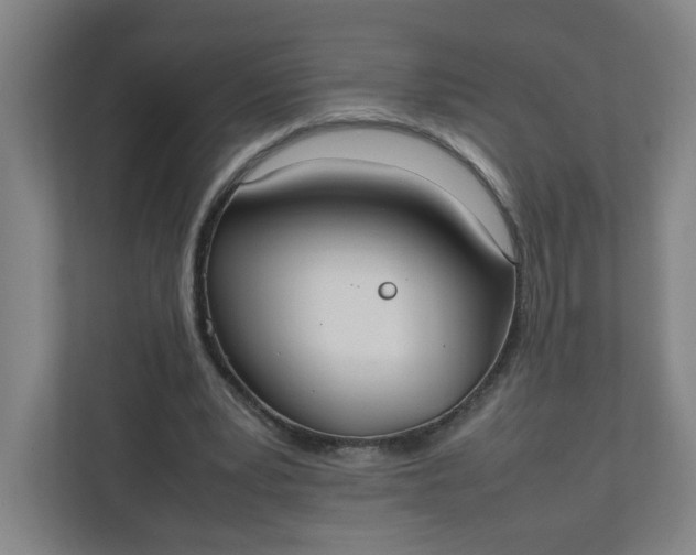 X0000111950391200908101226