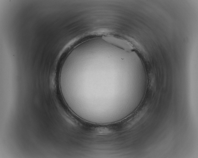 X0000111950392200908101226