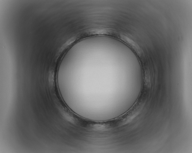 X0000111950394200908101226