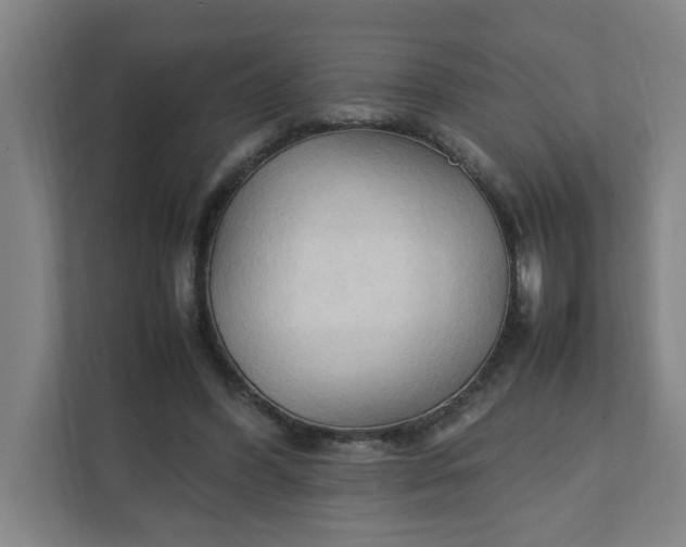 X0000111950396200908101226