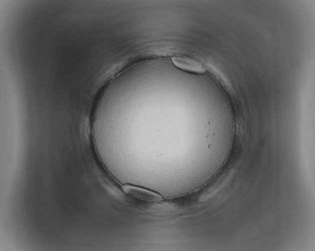 X0000111950397200908101226