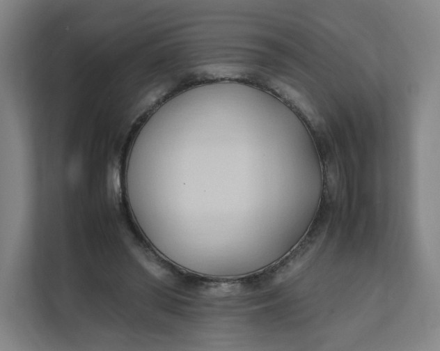 X0000111950398200908101226