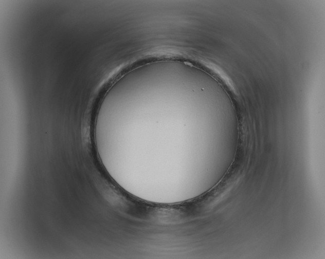 X0000111950399200908101226