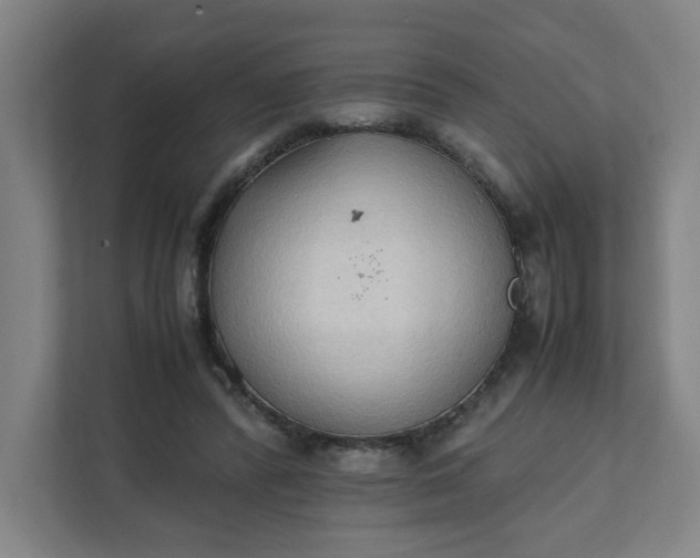 X0000111950400200908101226