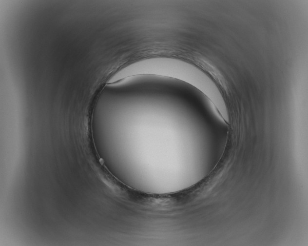 X0000111950401200908101226