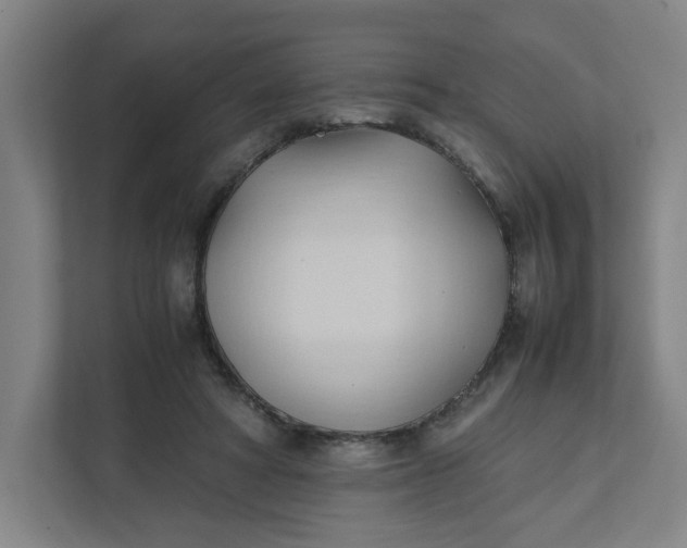 X0000111950402200908101226