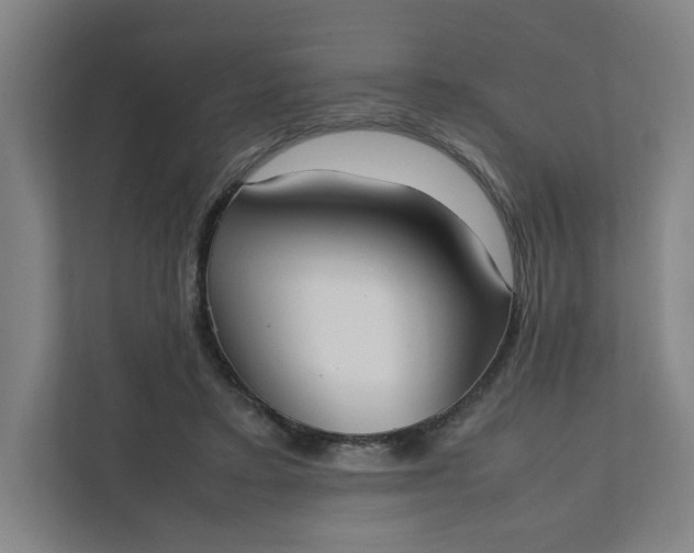 X0000111950403200908101226