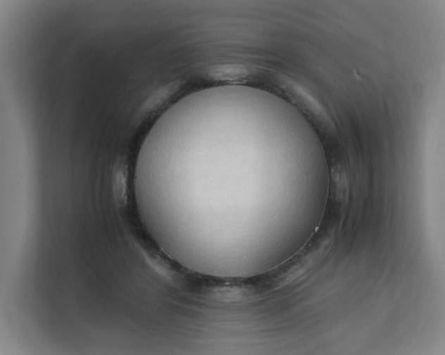 X0000111950404200908101226