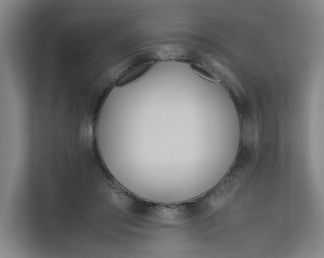 X0000111950405200908101226