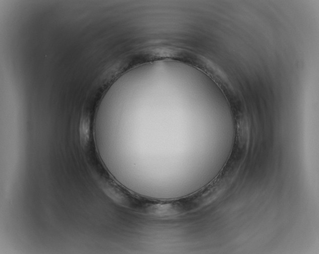 X0000111950406200908101226